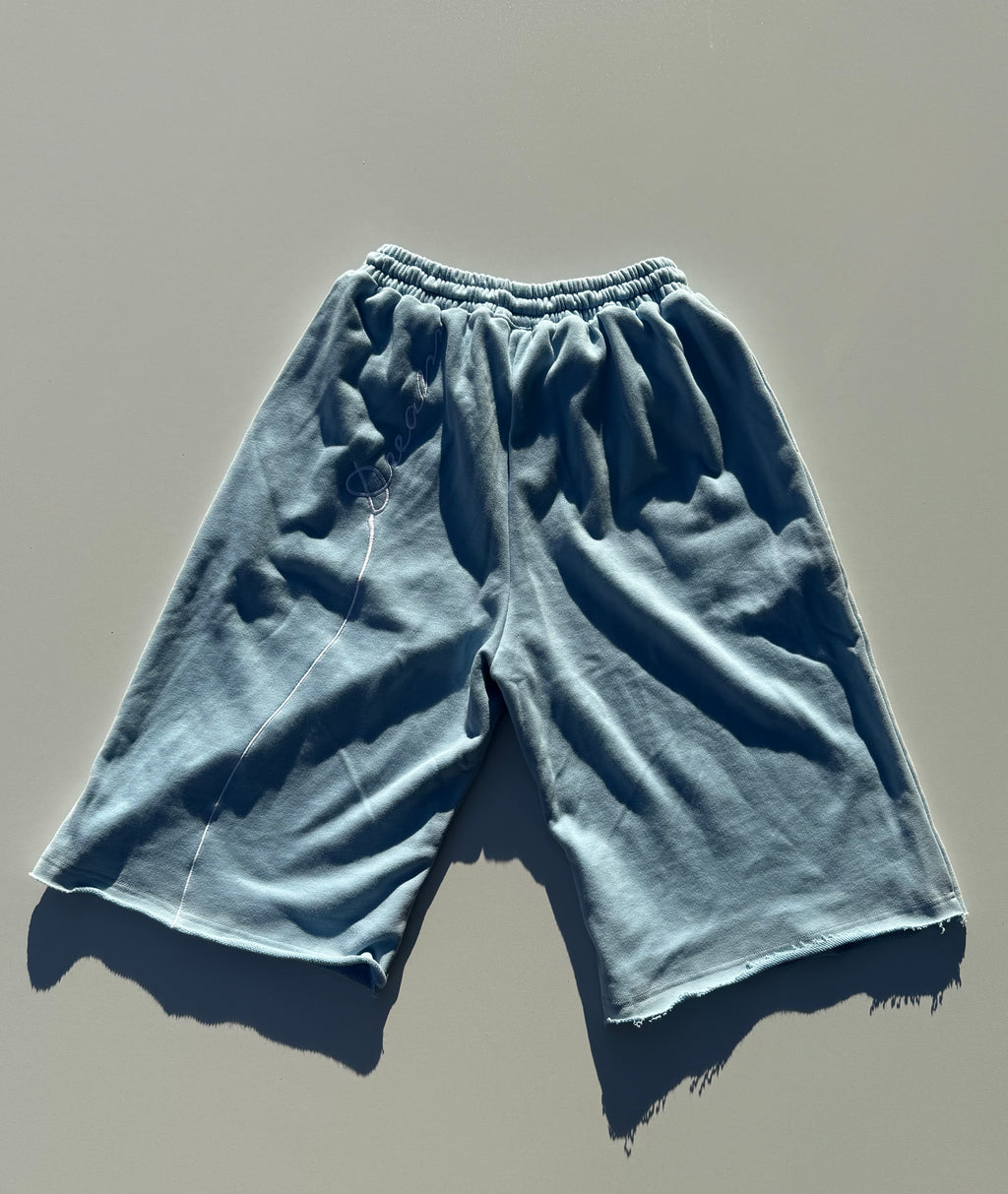 DW Cloud Shorts (Blue)