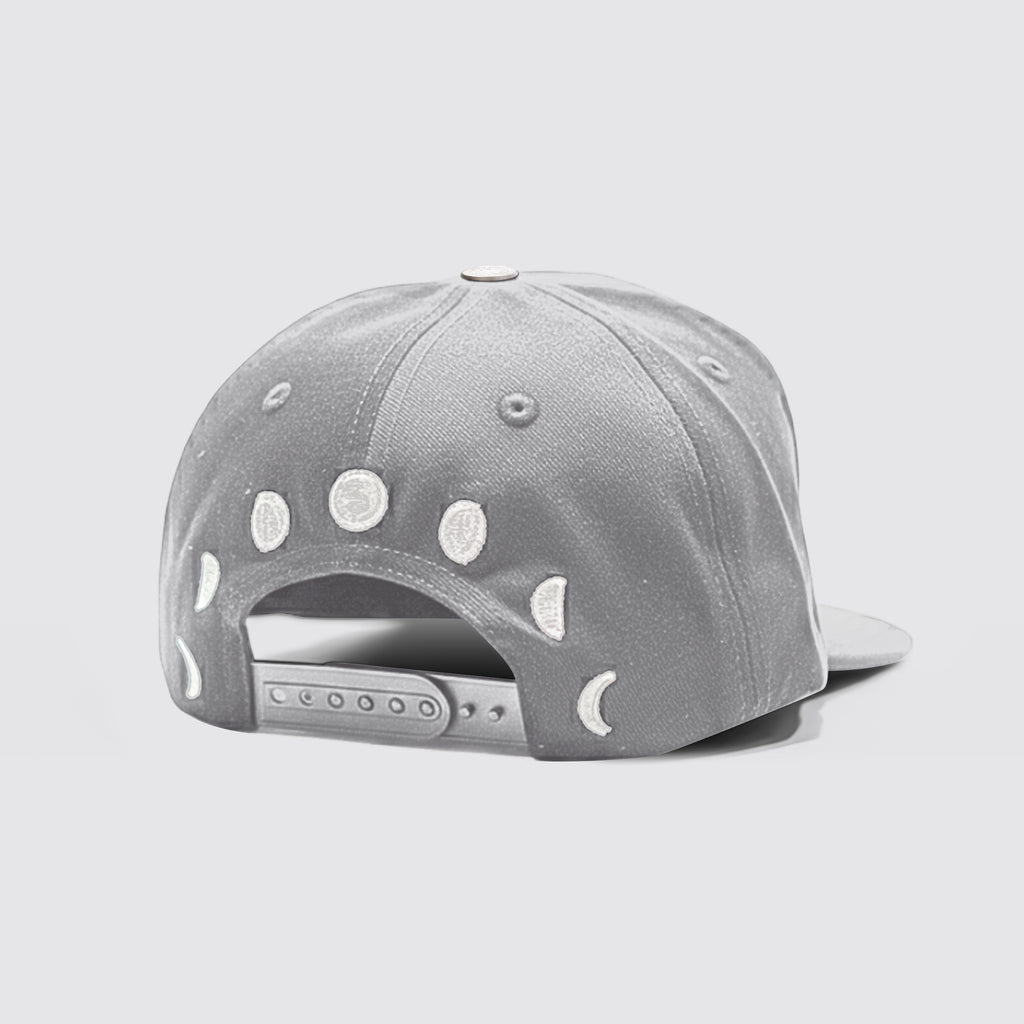 DW Snap Back (Grey)