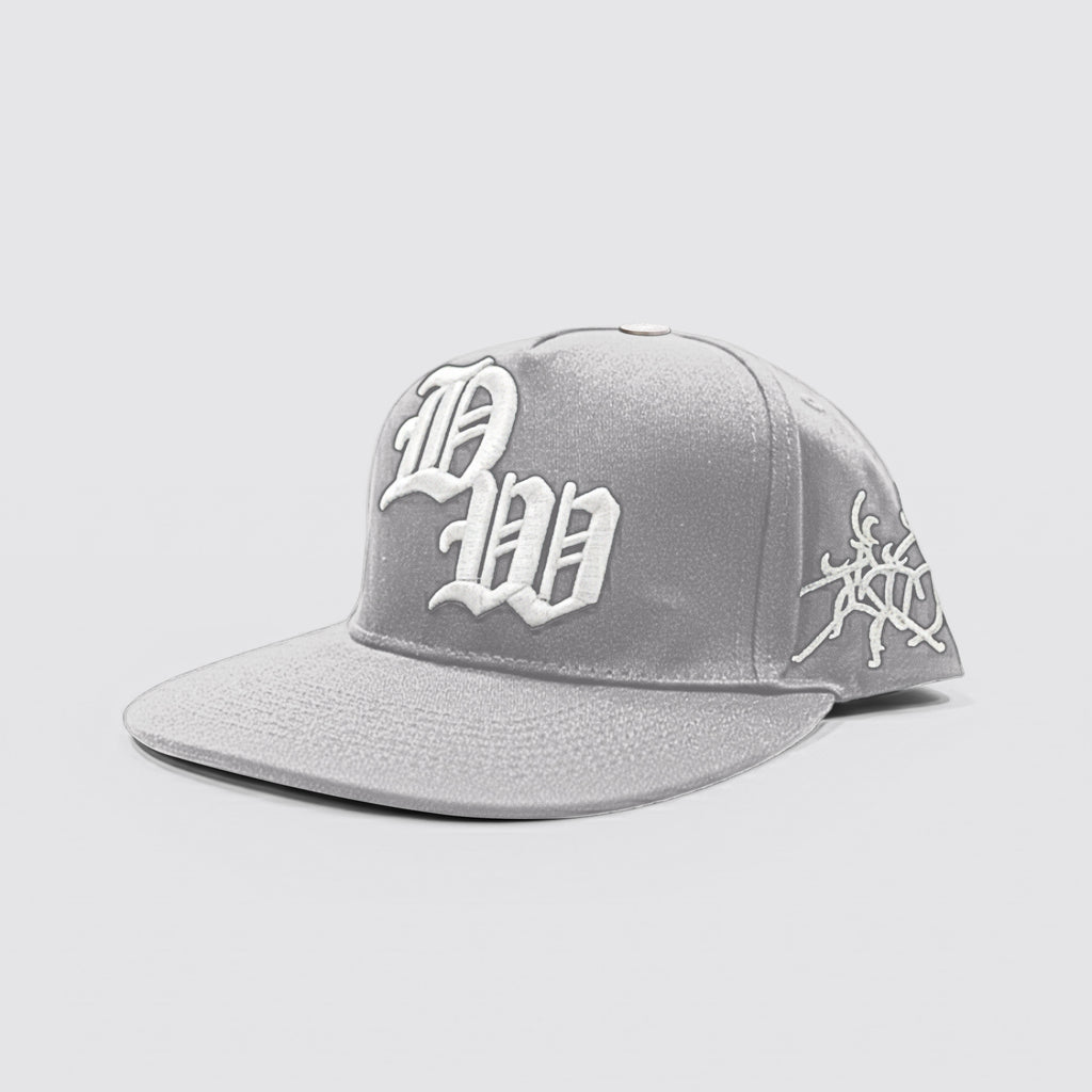 DW Snap Back (Grey)