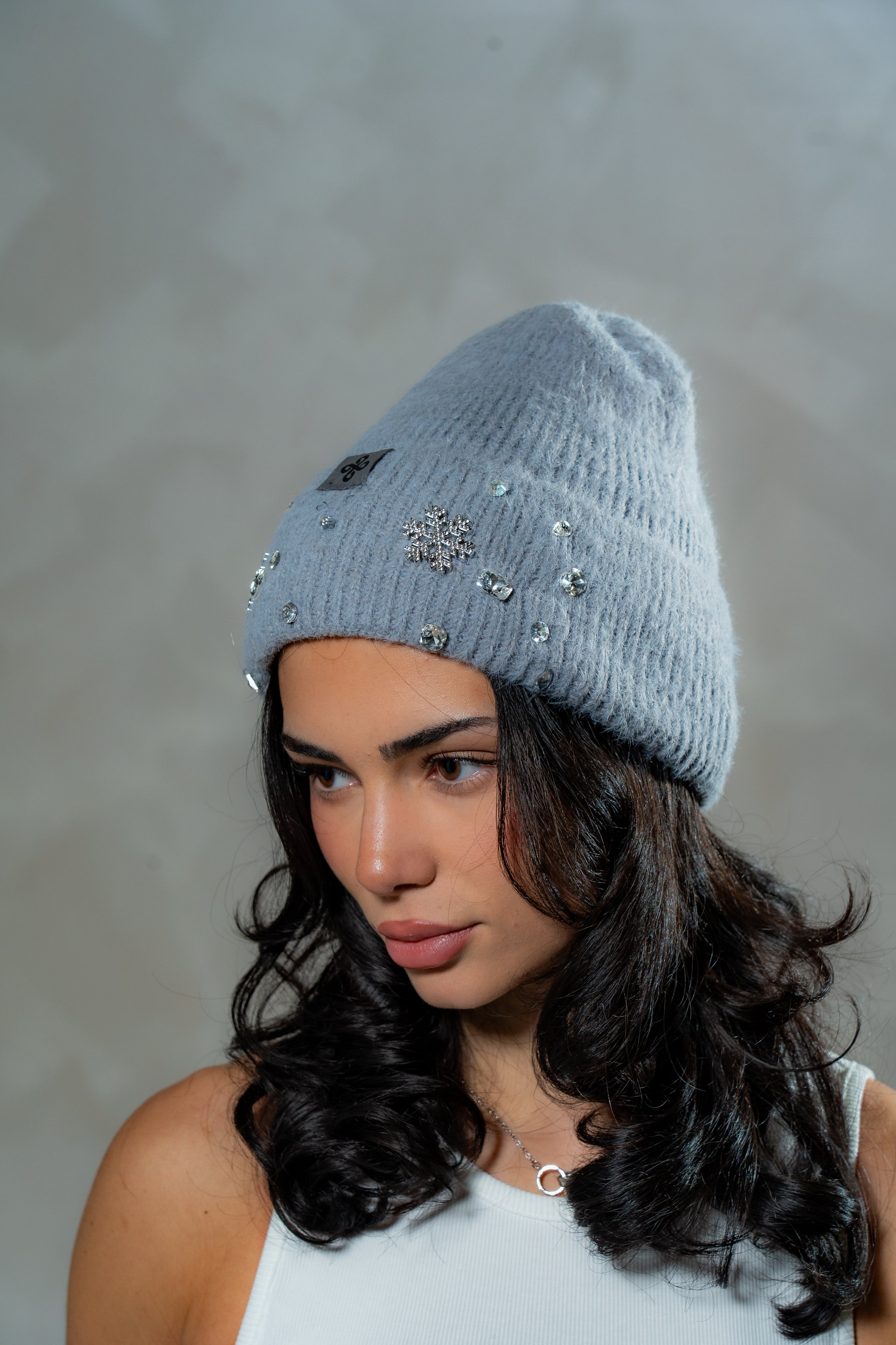 DW  Beanie (Christmas Edition)